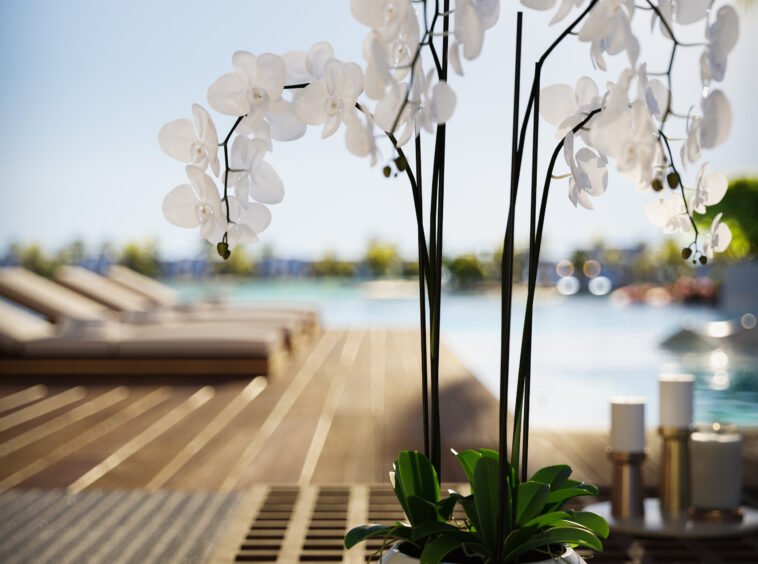 AJS CAPITAL - buy property dubai rent an apartment dubai