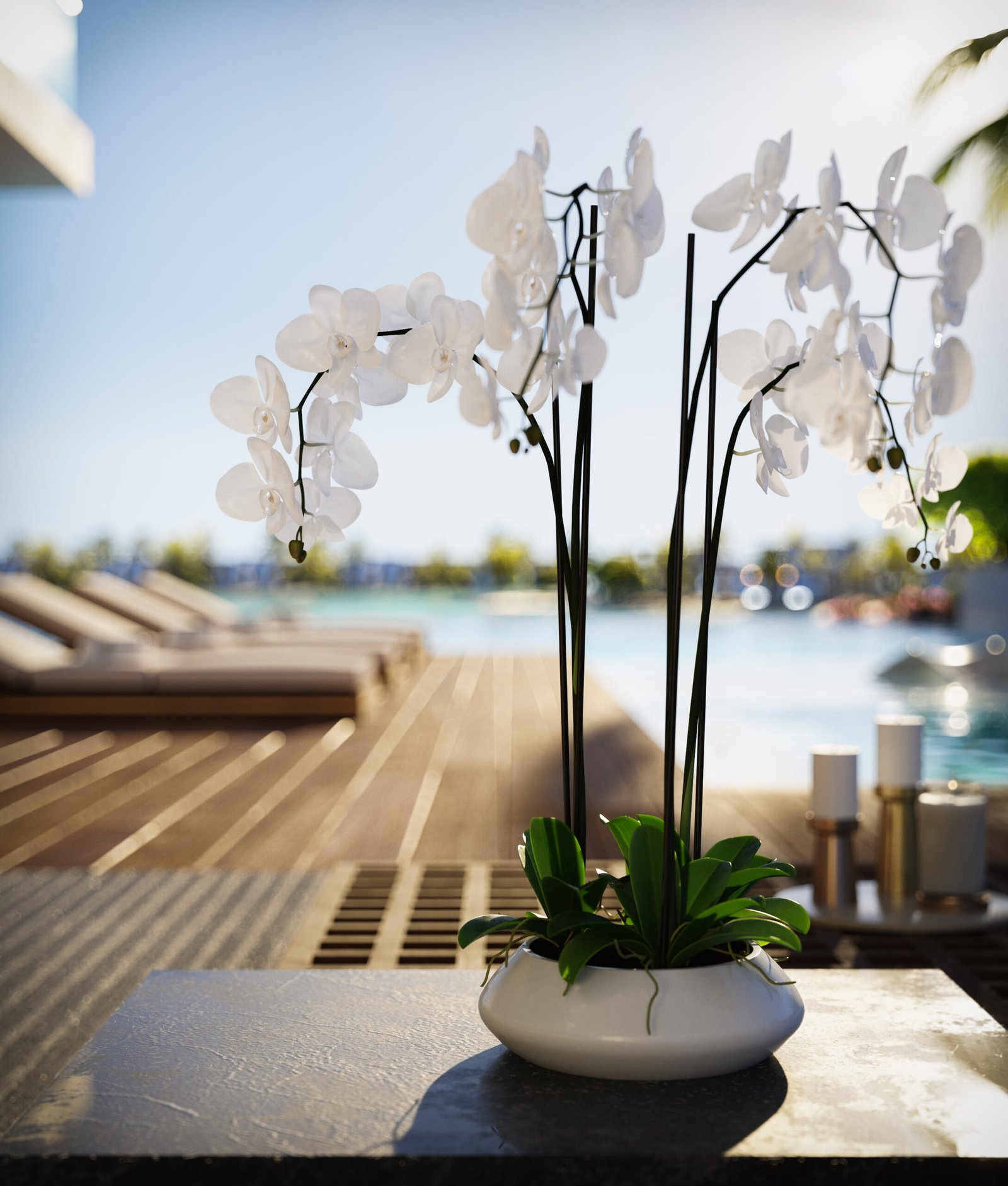 AJS CAPITAL - buy property dubai rent an apartment dubai